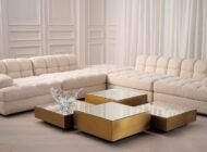 Tufted Divine08